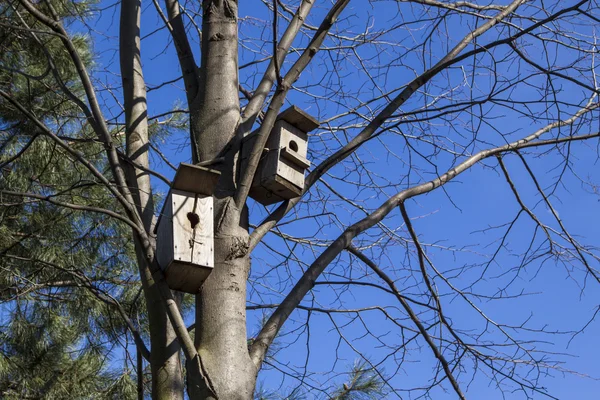 Birdhouses várják a tulajdonosok. — Stock Fotó