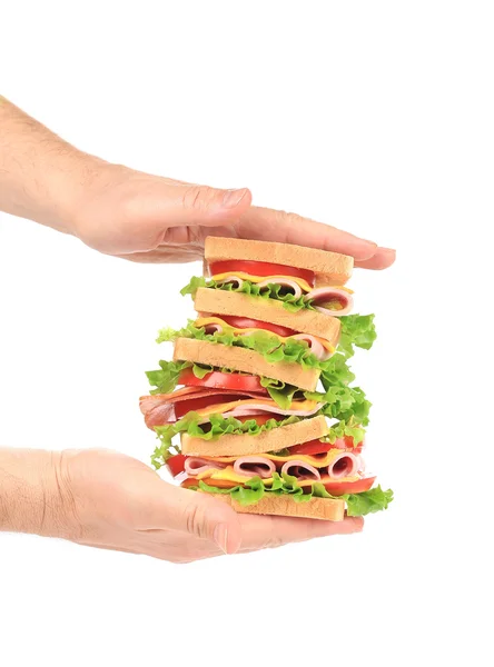 Hände halten leckeres Sandwich. — Stockfoto