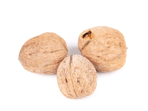 Три грецких ореха . — стоковое фото