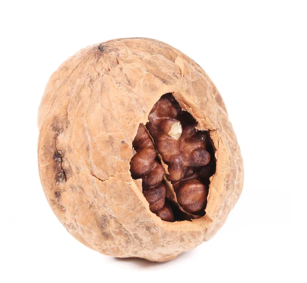 Cracked walnut. — Stock Photo, Image