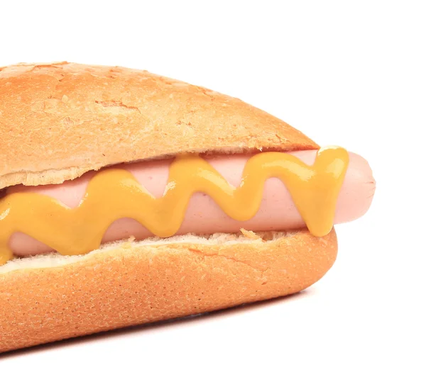 Gros plan de hot dog . — Photo