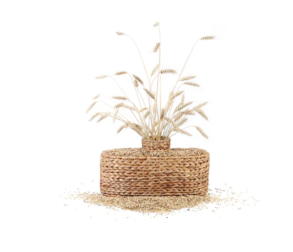Uši pšenice v košíku. — Stock fotografie