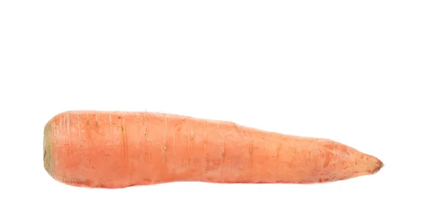 Морква свіжа . — стокове фото