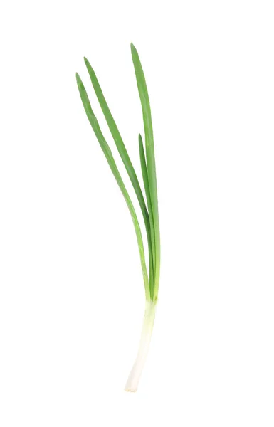 Fresh green onion. — Stock Photo, Image