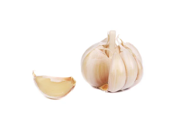 Garlic bulb. — Stock Photo, Image