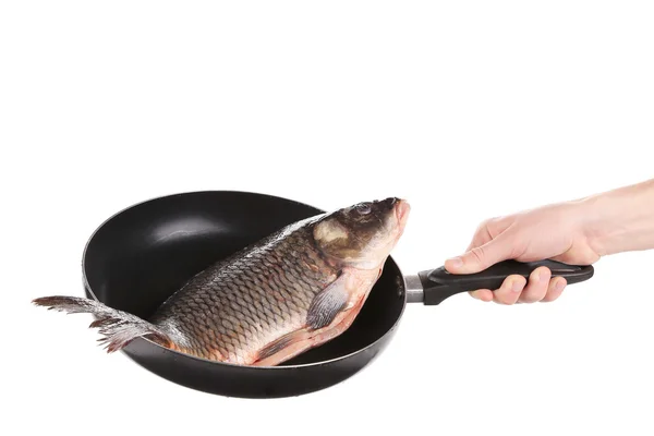 Carp fish on frying pan. — Stock Photo, Image