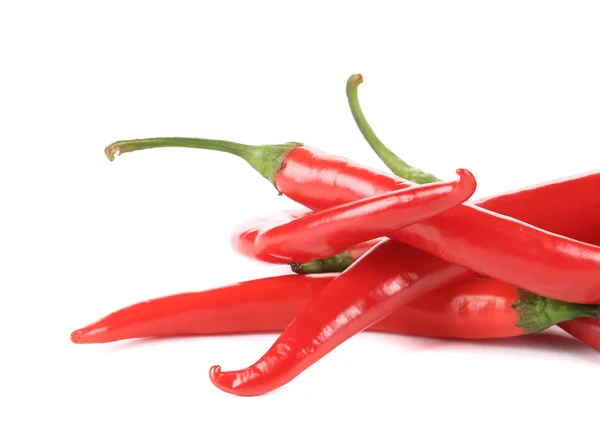 Chili pepper. — Stock Photo, Image