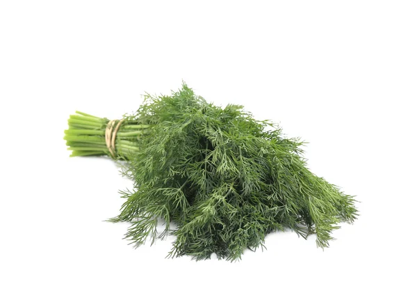 Massa färsk dill. — Stockfoto