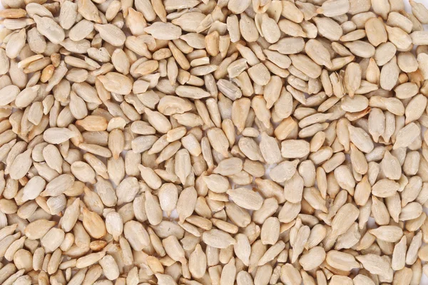 Background of sunflower seeds. — Stock Photo, Image