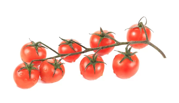 Primer plano de tomates cereza . — Foto de Stock