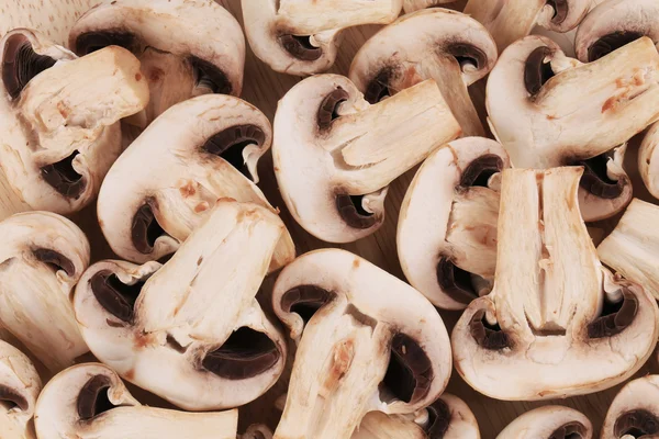 Bunch of white mushrooms close up. — Stock Photo, Image