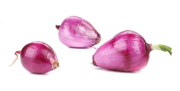 Three red onions. — Stock Photo, Image