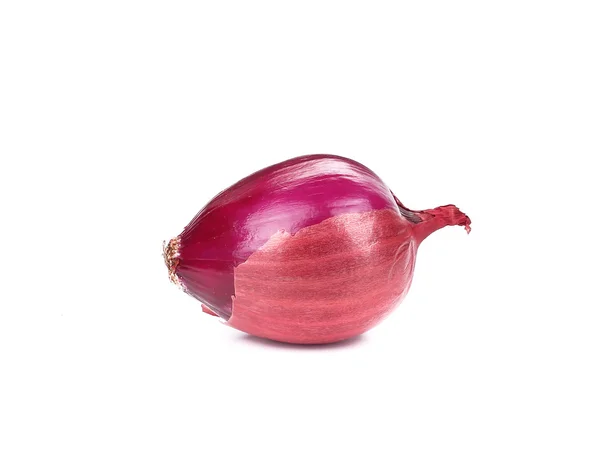 Raw red onion. — Stock Photo, Image