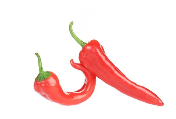 Two raw chili peppers. — Stock Photo, Image