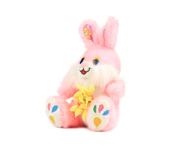 Fluffy funny easter rabbit. — Stock Photo, Image