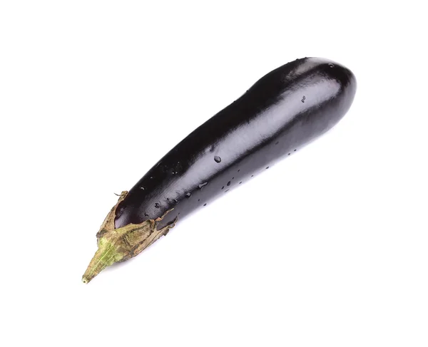 Close up of single eggplant. — Stock Photo, Image