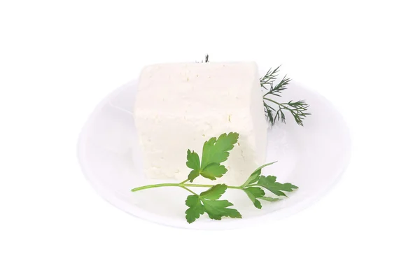 Närbild på tofu på en tallrik. — Stockfoto