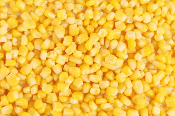 Вкусные желтые зерна кукурузы . — стоковое фото