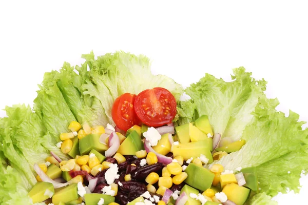 Beans salad on a plate. — Stock Photo, Image