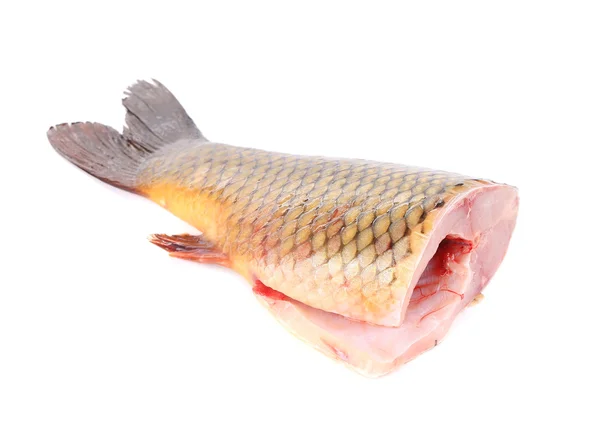 Närbild av karp fisk svans. — Stockfoto