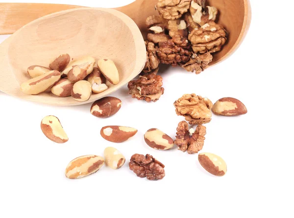 Spoon with walnuts and brazil nuts. — Stock Photo, Image