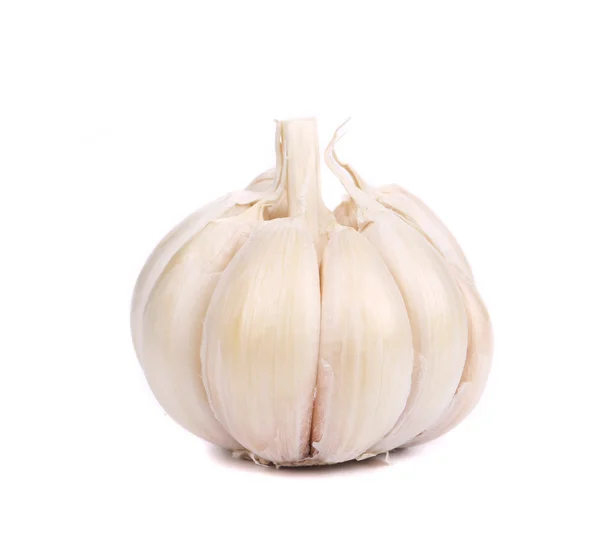 Head of garlic. — Stock Photo, Image