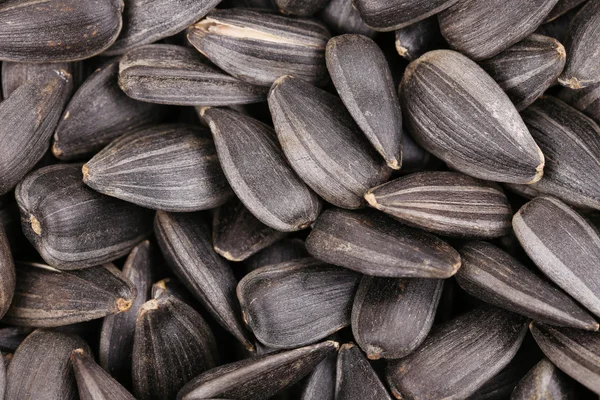 Sunflower seeds close up. Macro. — Stock Photo, Image