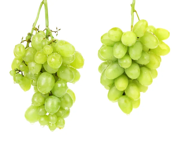 Bunch of green grapes. — Stock Photo, Image