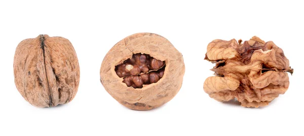 Three walnuts. — Stock Photo, Image