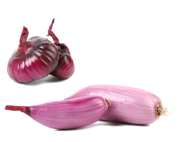 Red onion bulbs collage. — Stock Photo, Image