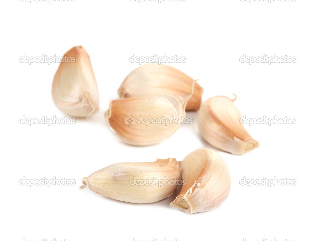 indigolotos
