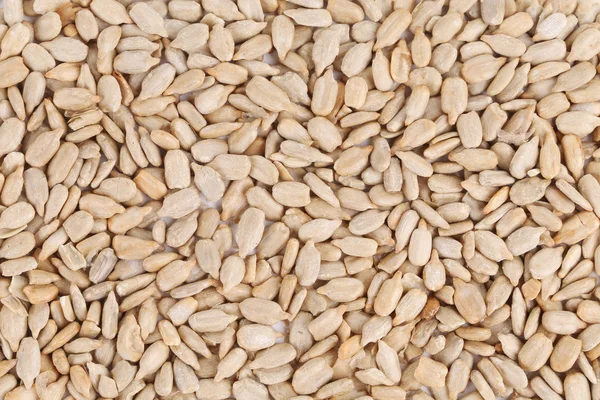 Peeled sunflower seeds close up. — Stock Photo, Image