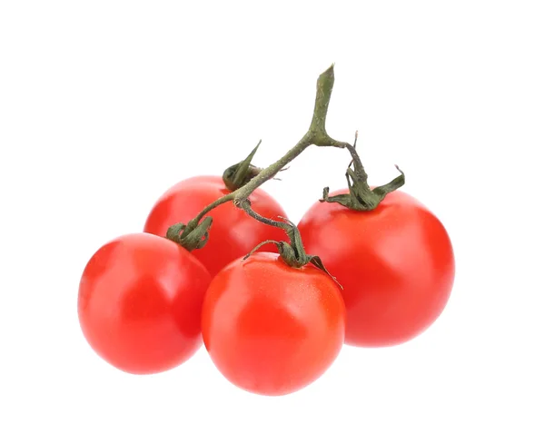 Fechar de ramo de tomates . — Fotografia de Stock