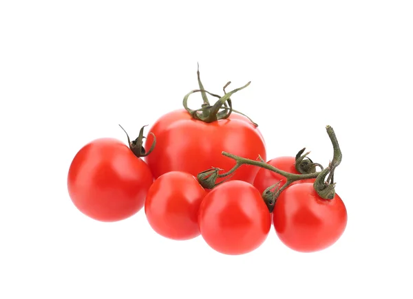 Close up of fresh tomatoes. — Stock Photo, Image