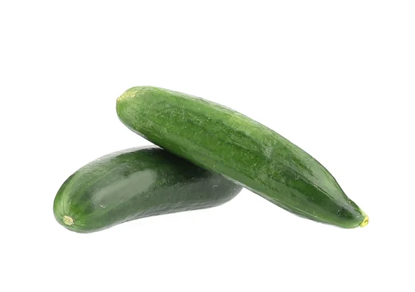Twee verse komkommers. — Stockfoto