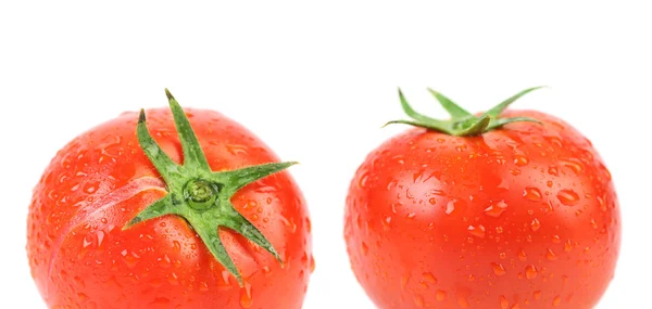 Deux tomates avec des gouttes d'eau . — Photo