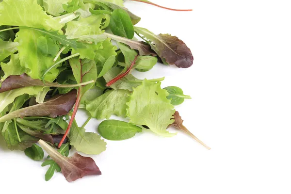 Salada de mistura . — Fotografia de Stock