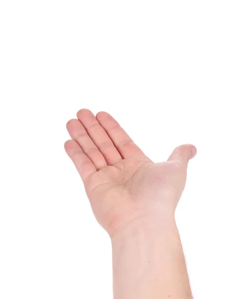 Open palm hand gesture of male hand. — Stock Photo, Image