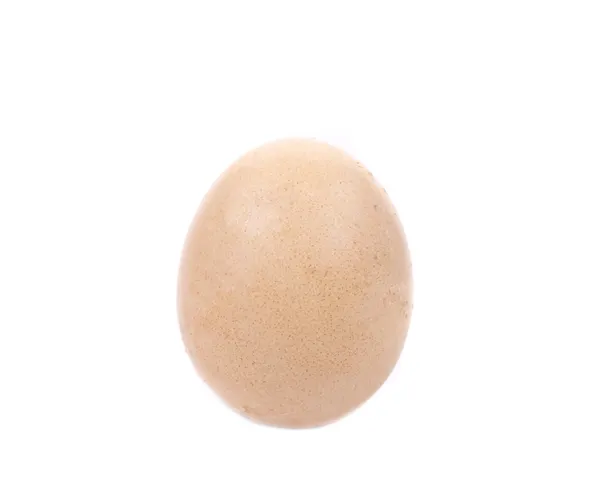 Close up of brown egg. — Stock Photo, Image