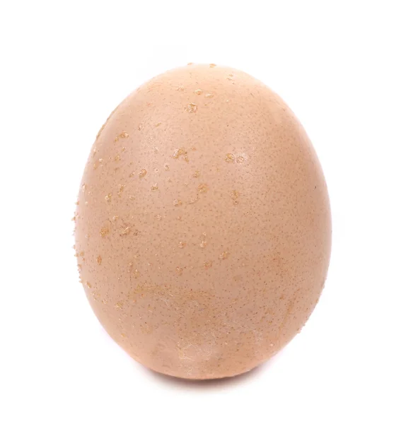 Close up of an egg. — Stock Photo, Image