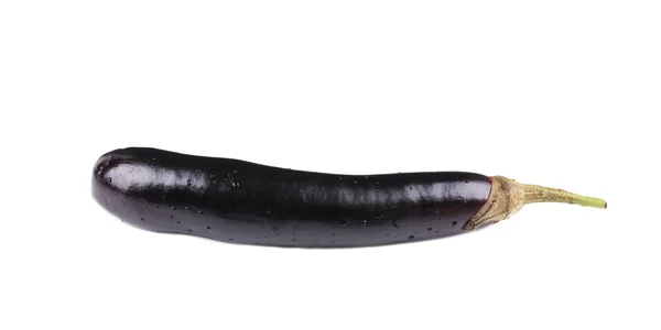 Färska aubergine. — Stockfoto