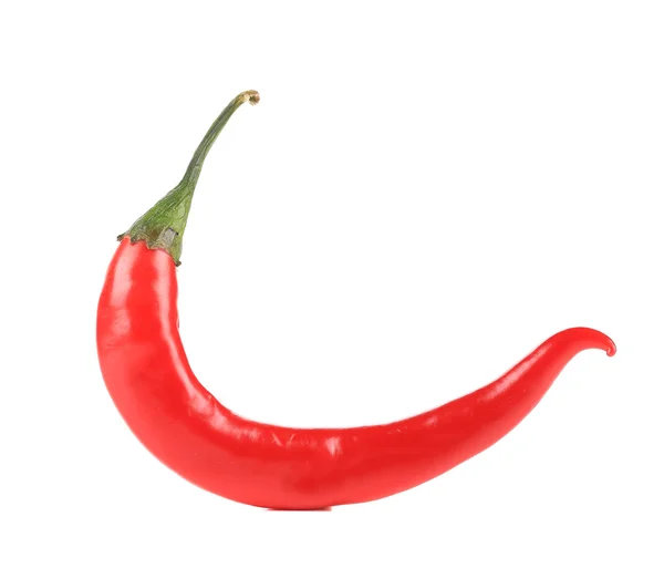 Červená chilli paprika. — Stock fotografie