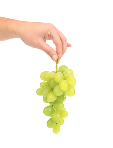 Рука держит белый виноград . — стоковое фото