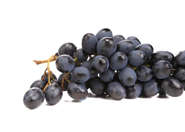 Uvas negras maduras . — Foto de Stock