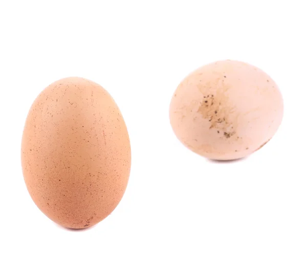 Два яйца . — стоковое фото