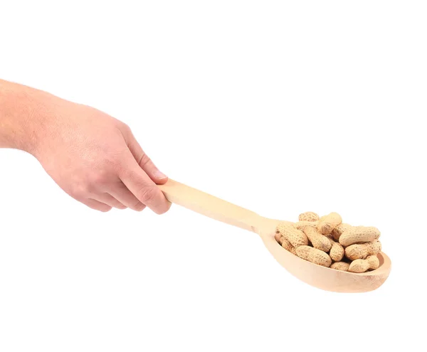Hand houdt houten lepel met pinda 's. — Stockfoto