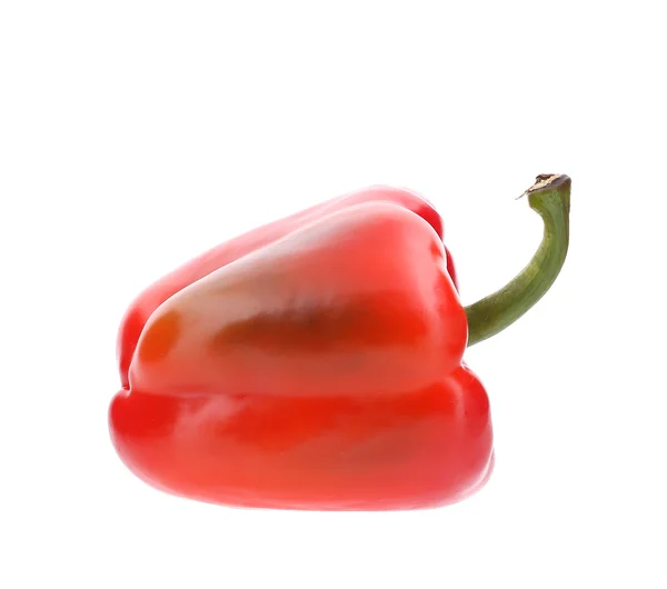 Sweet red pepper. — Stock Photo, Image