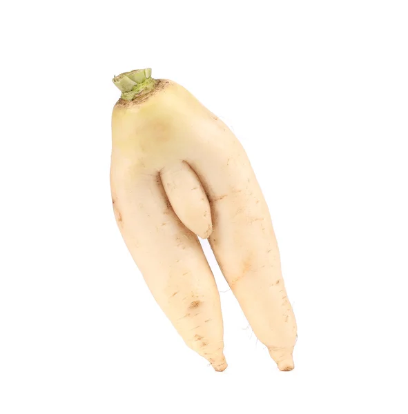 Närbild på daikon gäng. — Stockfoto