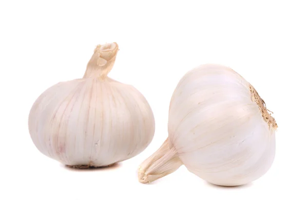 Head of garlic. — Stock Photo, Image