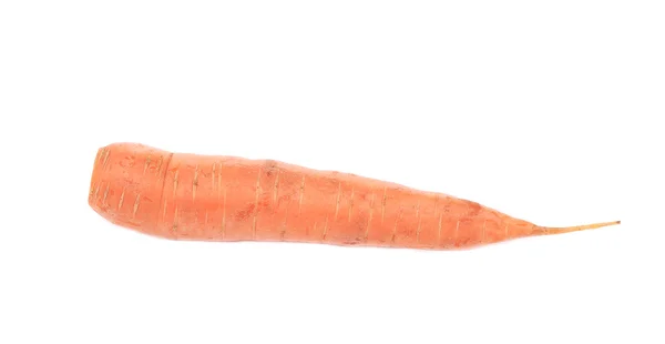 Fresh carrot. — Stock Photo, Image